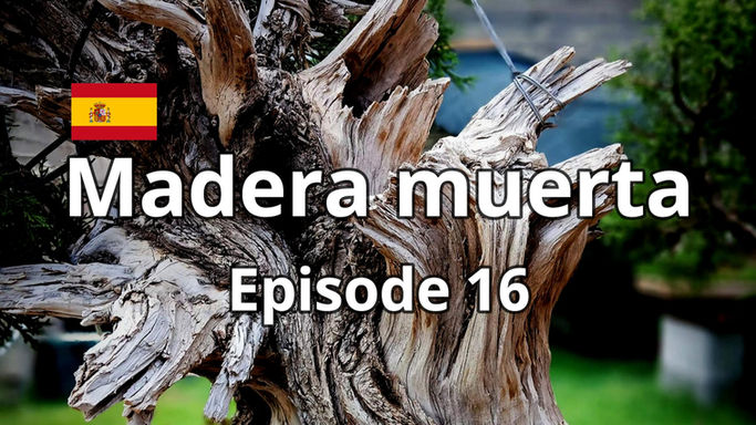 Book - Madera muerta Ep.16